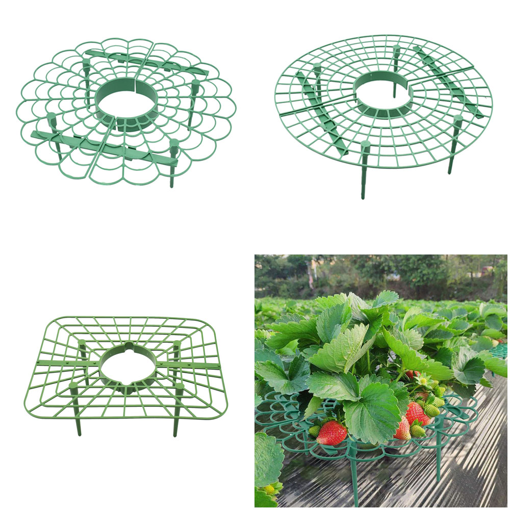 Vine Climbing Plastic - Soporte de marco para fresa, estante