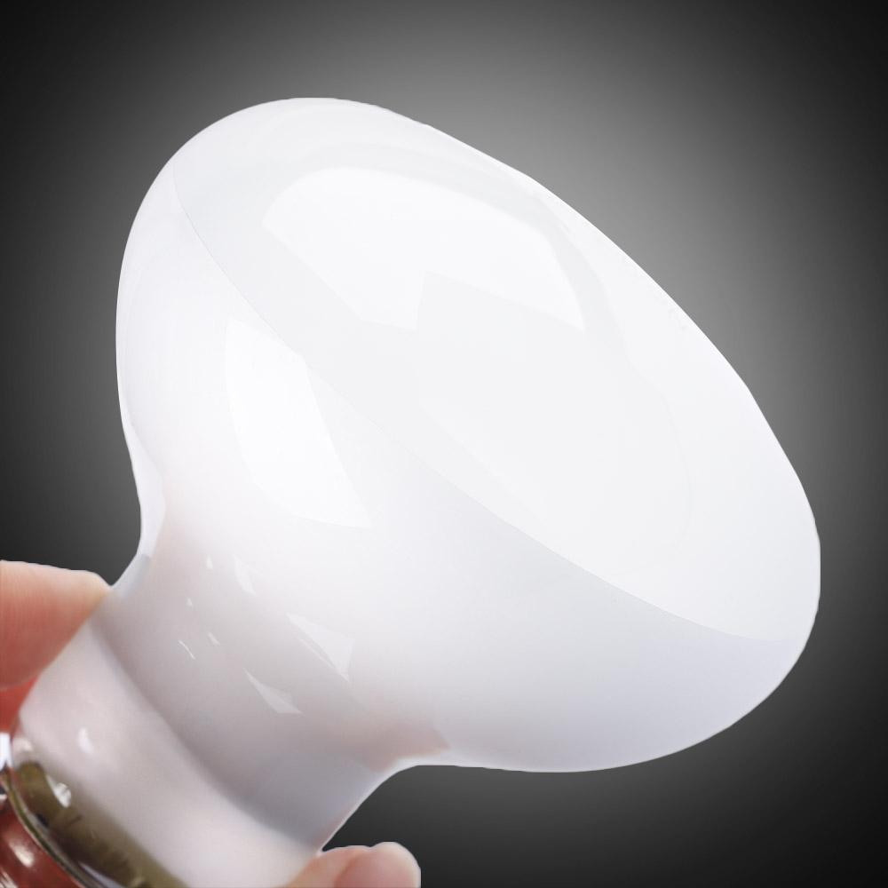 Controlador de Temperatura par - Basking Bulb Halogen reseña y precio