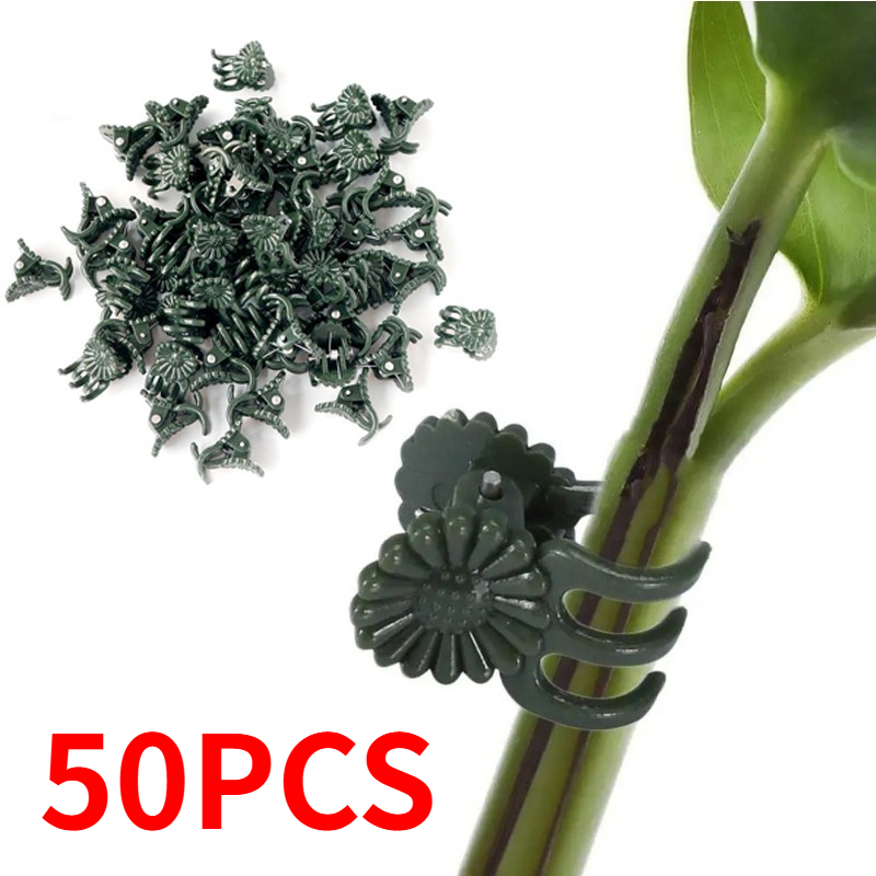 50 clips de 5 garras verde osc - Vine Climbing Plastic reseña y precio