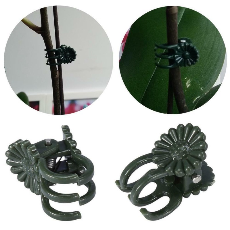 50 clips de 5 garras verde osc - Vine Climbing Plastic reseña y precio