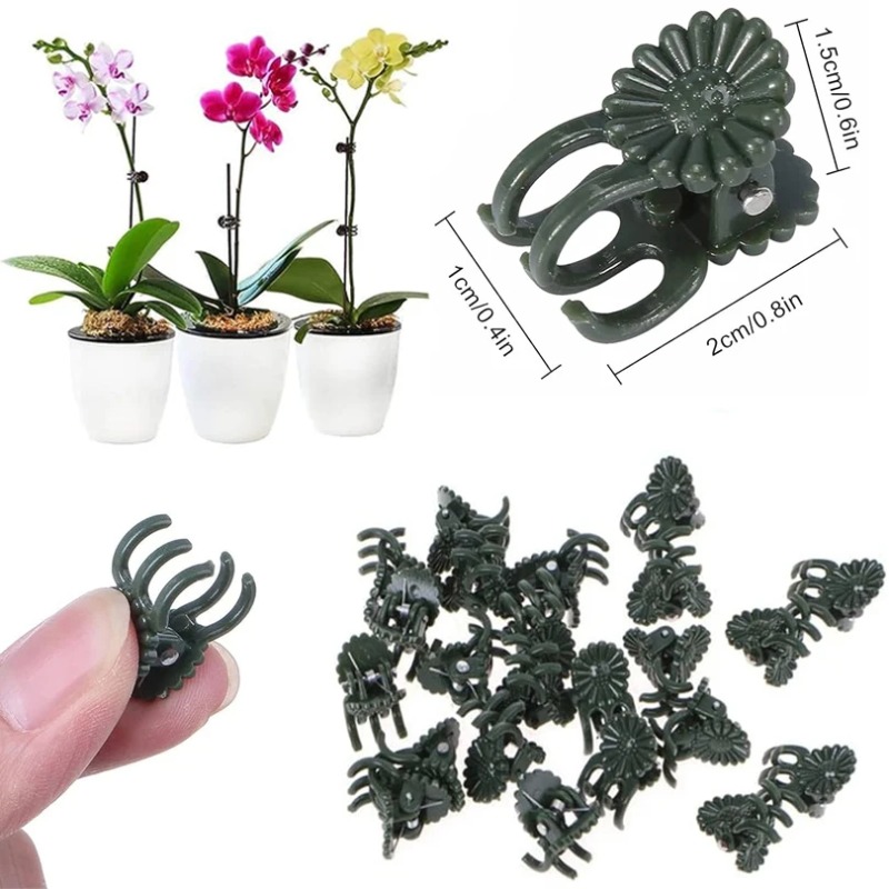 50 clips de 5 garras verde osc - Vine Climbing Plastic reseña y precio
