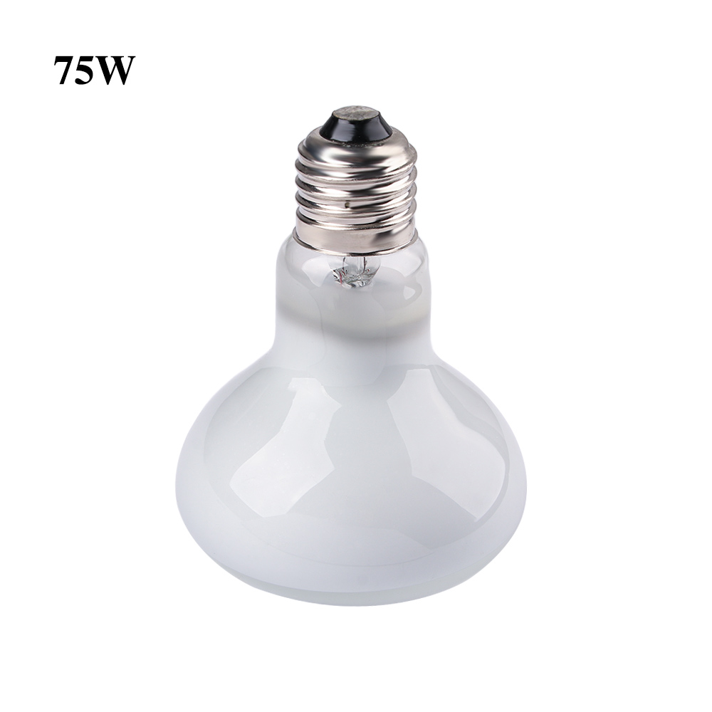 Lámpara de Calor para Tortugas - Basking Bulb Halogen reseña y precio