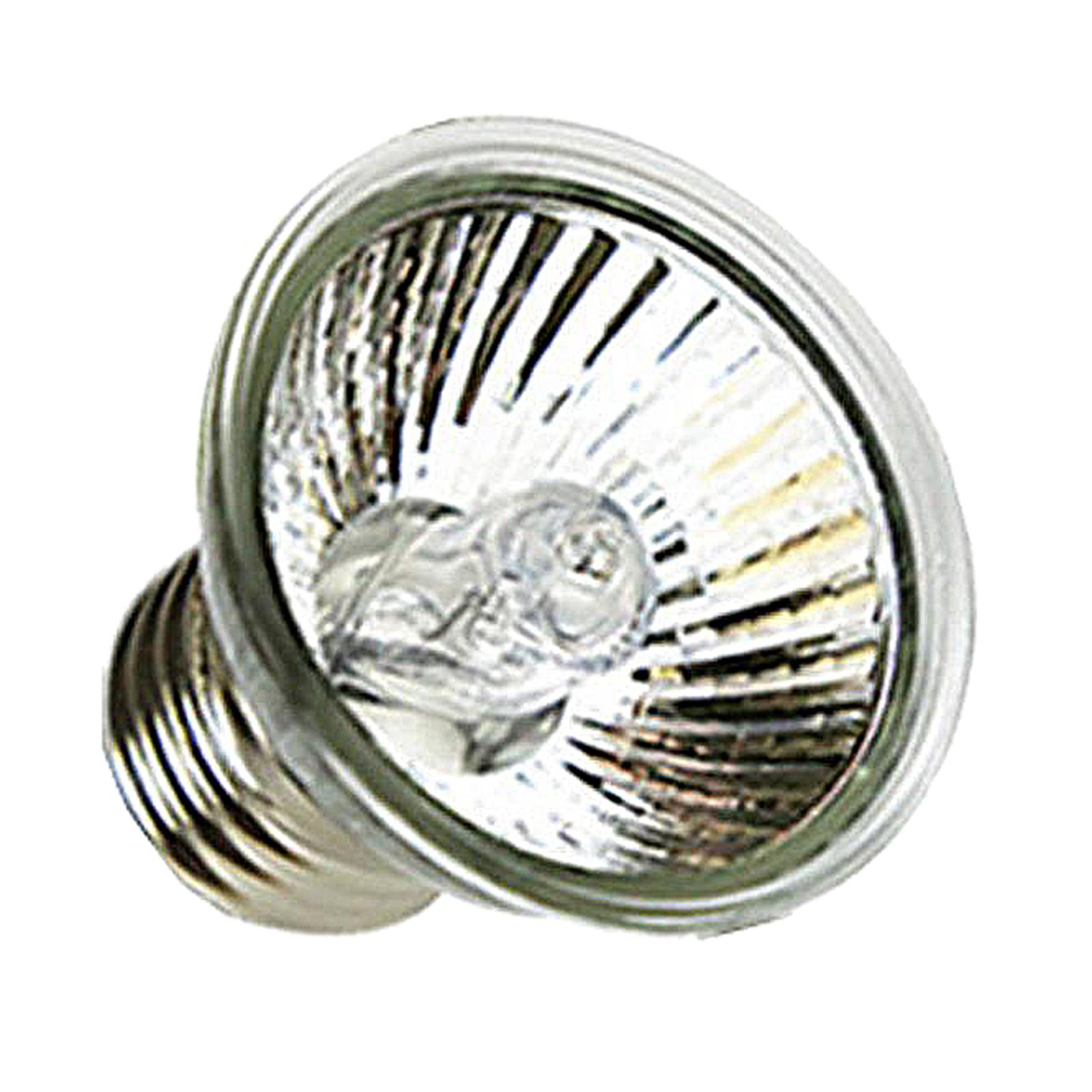 Lámpara de Calor para Reptiles - Basking Bulb Halogen reseña y precio