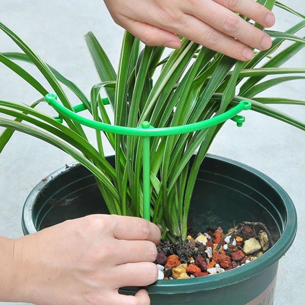 Anillo de Soporte Ajustable pa - Vine Climbing Plastic reseña y precio
