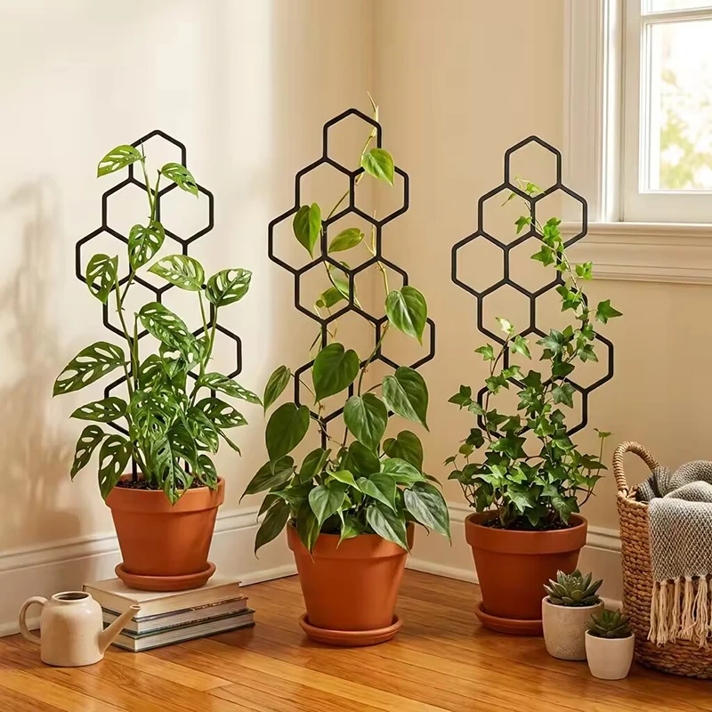 2/4 Piezas de Soporte de Plást - Vine Climbing Plastic reseña y precio